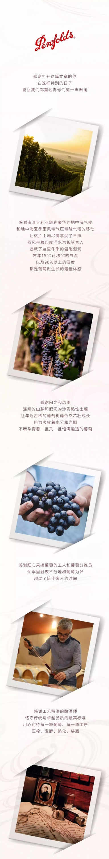 Penfolds  奔富感恩节特辑：第175次感谢，如此长情1